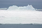 浮冰與冰山