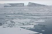滿海浮冰與冰山