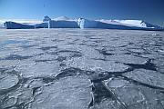 Ilulissat Icefjord（伊盧利薩特冰峽灣）
